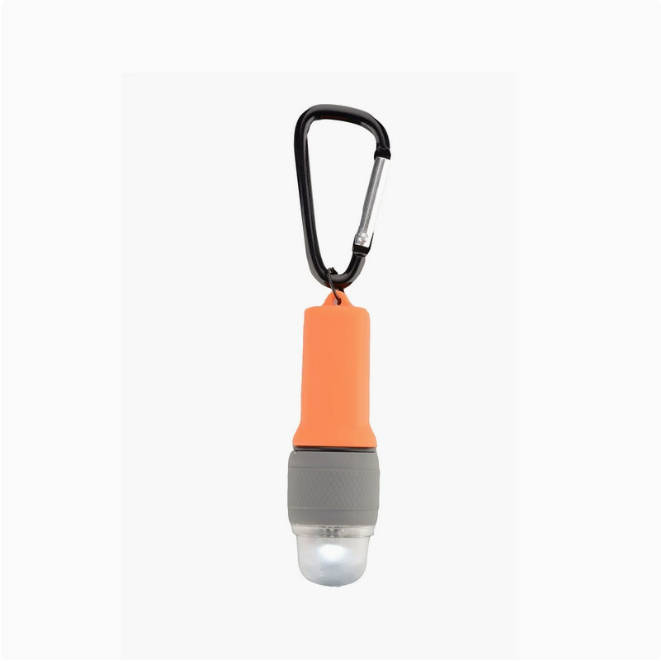 Backpack light