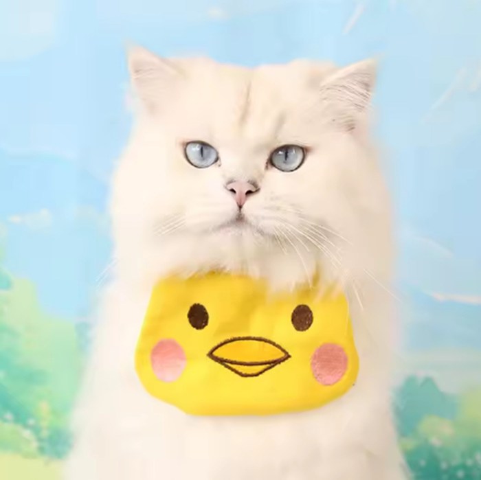 Cute Decoration Pet Collar Drool Towel