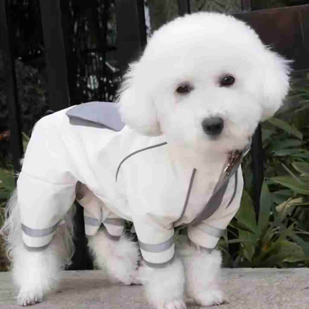 Waterproof Pet Jacket Pet Clothes Pet Raincoat