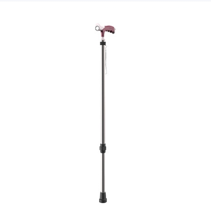 Walking stick