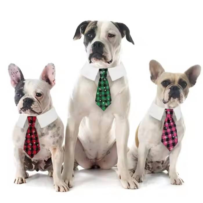 Pet Necktie Collar