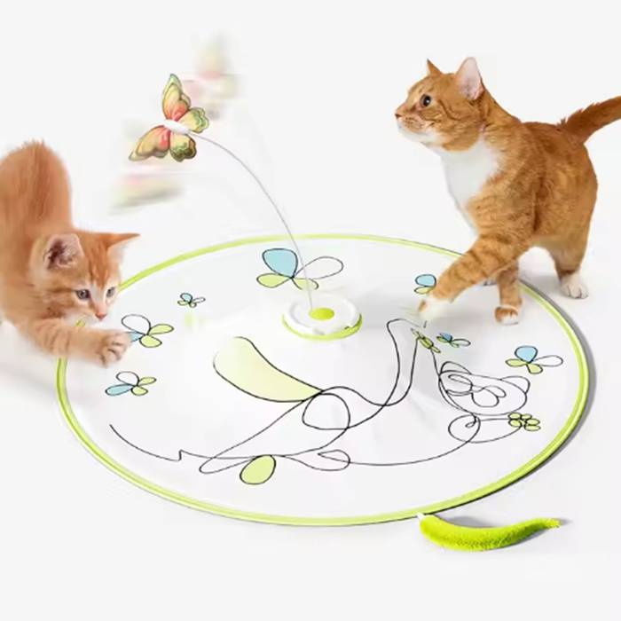Interactive 3 in 1 Hide and Seek Cat Wand Toy