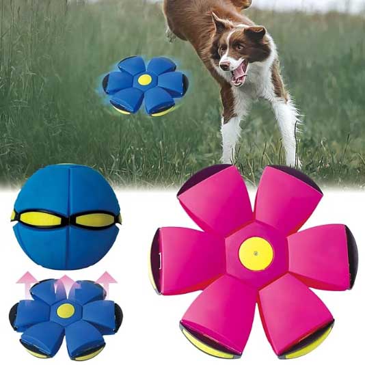 Magic Dog Flying Disc