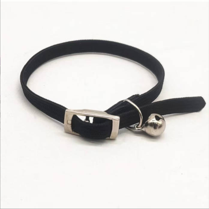 Elastic band cat collar
