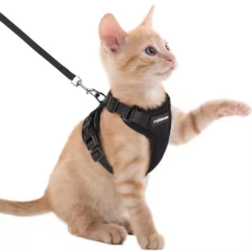 Cat Harness Leash with Reflective Strip