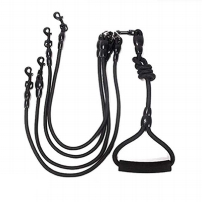 4in1 Detachable Dog Leash