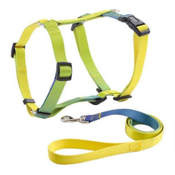 Dog Harness & Leash Set