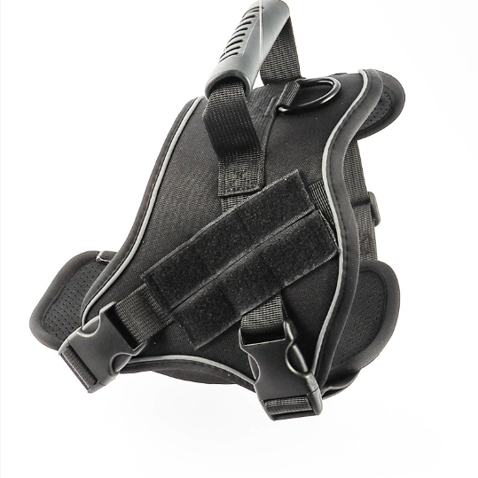 Tactical chest and back