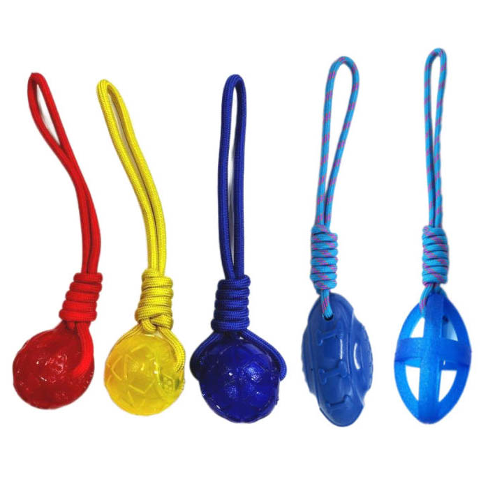 Dog Rope Toy with Chewing Ball